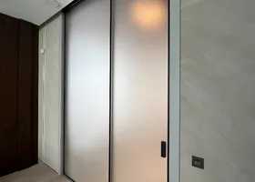 Sds-102. Раздвижная система с доводчиками, одна дверь (Light Loft) — фото 2